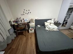 Lorong 39 Geylang (D14), Terrace #608697861